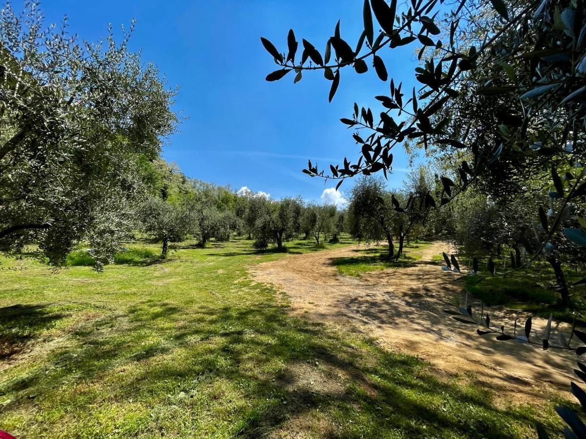 Serravalle Pistoiese Podere Il Casone מראה חיצוני תמונה